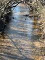 63.74 Acre Chestnut Valley Road - Photo 15