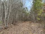 0-#99 Raulston Falls Road - Photo 6