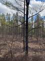 Lot 7-Lot 7 Thomas Springs Road - Photo 3