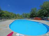 9 & 50 Forest Ln & Chestnut Oak Dr - Photo 27