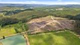 35123 Us Hwy. 11 - Photo 53