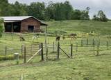 1570 Halls Valley Road - Photo 2