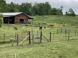 1570 Halls Valley Road - Photo 7