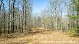 40 Acres County Road 492 - Photo 2