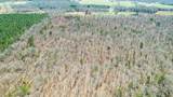 40 Acres County Road 492 - Photo 24