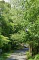 0-Lot 27 Tinkerbell Circle - Photo 2