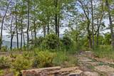 50 Huckleberry Lane - Photo 88
