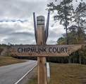 183-Sv 253 Chipmunk Court - Photo 15