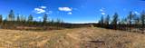 Tract 26a Hughes Lake Road Se - Photo 9