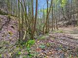 677 Kimsey Mountain Highway - Photo 10