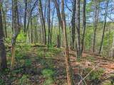 677 Kimsey Mountain Highway - Photo 17