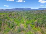 677 Kimsey Mountain Highway - Photo 19