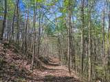 677 Kimsey Mountain Highway - Photo 21