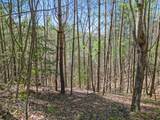 677 Kimsey Mountain Highway - Photo 22