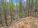 677 Kimsey Mountain Highway - Photo 23