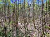 677 Kimsey Mountain Highway - Photo 25