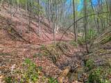 677 Kimsey Mountain Highway - Photo 29