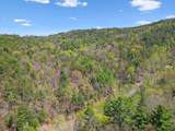 677 Kimsey Mountain Highway - Photo 31