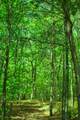 157-24 Acres Highway - Photo 1