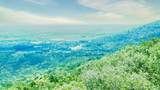 157-24 Acres Highway - Photo 13