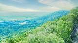 157-24 Acres Highway - Photo 14