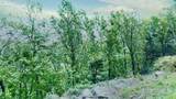 157-24 Acres Highway - Photo 15