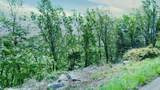 157-24 Acres Highway - Photo 16