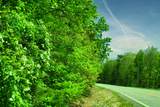 157-24 Acres Highway - Photo 2