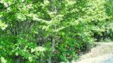 157-24 Acres Highway - Photo 22