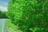 157-24 Acres Highway - Photo 3