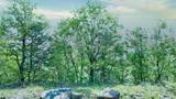 157-24 Acres Highway - Photo 7