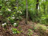 436 Mountain Creek Road - Photo 23
