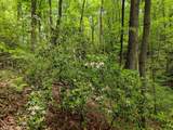 436 Mountain Creek Road - Photo 25