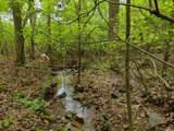 436 Mountain Creek Road - Photo 29