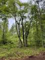000-Lot 2 Sullivan Road - Photo 10