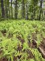 000-Lot 2 Sullivan Road - Photo 11