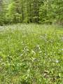 000-Lot 2 Sullivan Road - Photo 16