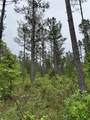 000-Lot 2 Sullivan Road - Photo 3