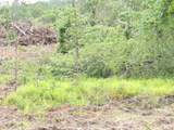 Lot 7-7 Hughes Cemetery Road - Photo 10