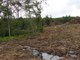 Lot 7-7 Hughes Cemetery Road - Photo 8