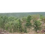Lot 10 Hughes Cementery Road - Photo 10