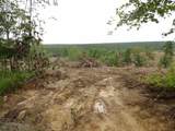 Lot 10 Hughes Cementery Road - Photo 5