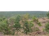 Lot 10 Hughes Cementery Road - Photo 6