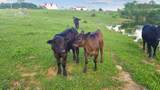 5 Little Drive - Photo 46