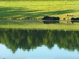 5 Little Drive - Photo 51