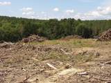 Lot 17 Summer City Road - Photo 20