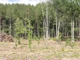 Lot 18 Summer City Road - Photo 22