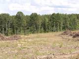 Lot 18 Summer City Road - Photo 23
