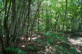 0-Lot 15 Hemlock Bluff Way - Photo 3