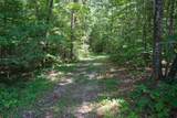 0-Lot 15 Hemlock Bluff Way - Photo 4